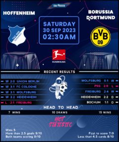 TSG Hoffenheim vs Borussia Dortmund